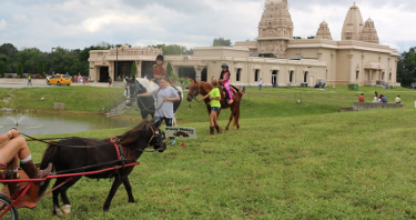 Temple grounds and outdoor space